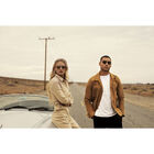 SHELBY, Shiny Light Gold-Saturn Polarized Drivers Gold Cat 2 to 3, hi-res image number null